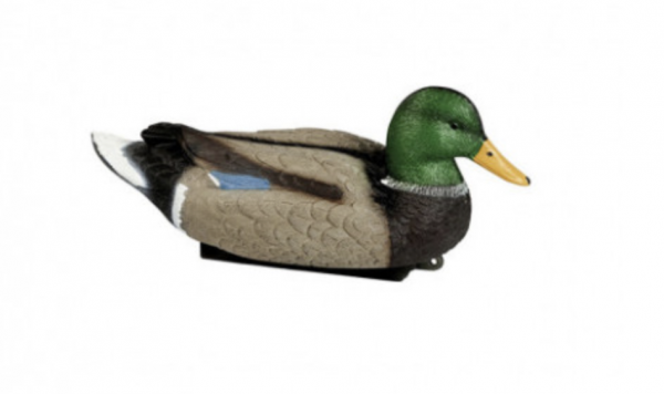 Stepland Lockvogel Stockerpel