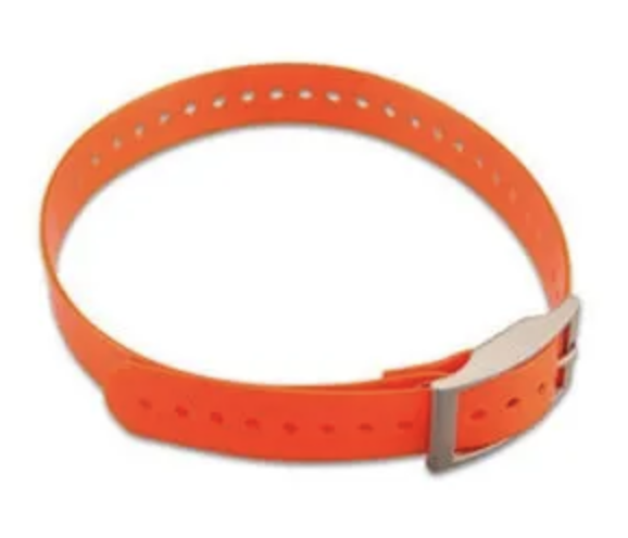 Garmin Hundehalsband in orange Breite 2,5cm Länge 68,58 cm