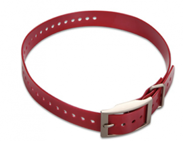 Garmin Hundehalsband in rot Breite 2,54cm Länge 68,58 cm